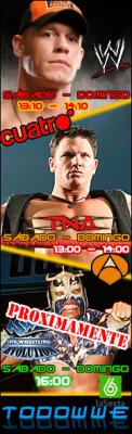 20080704170602-wrestl11.jpg