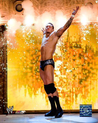 20080717140214-randy-orton-photograph-c12348916.jpeg